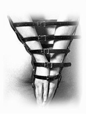 Fetish Bondage Binder
